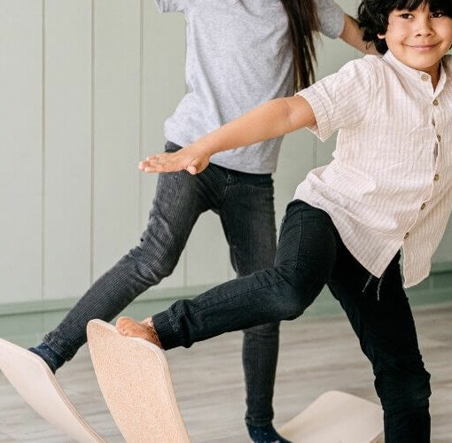 Bredder Balance Board Modellübersicht Balanceboarder.de