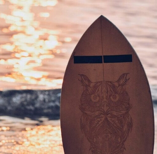 Balance Board Surfen
